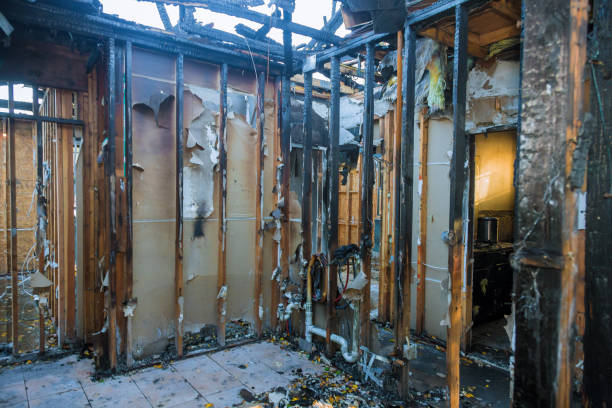 Professional Smoke Damage Removal technician working in Washingtonville, NY